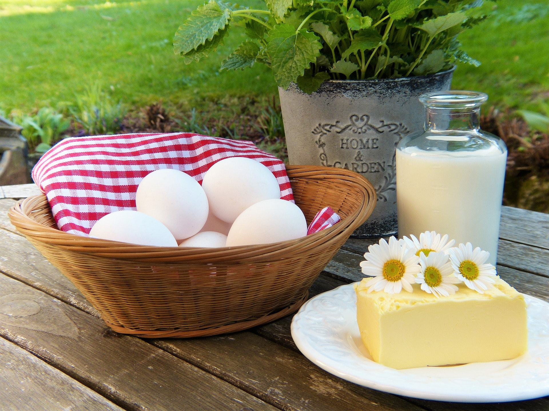 Is Folic Acid Added To Flour In Nz